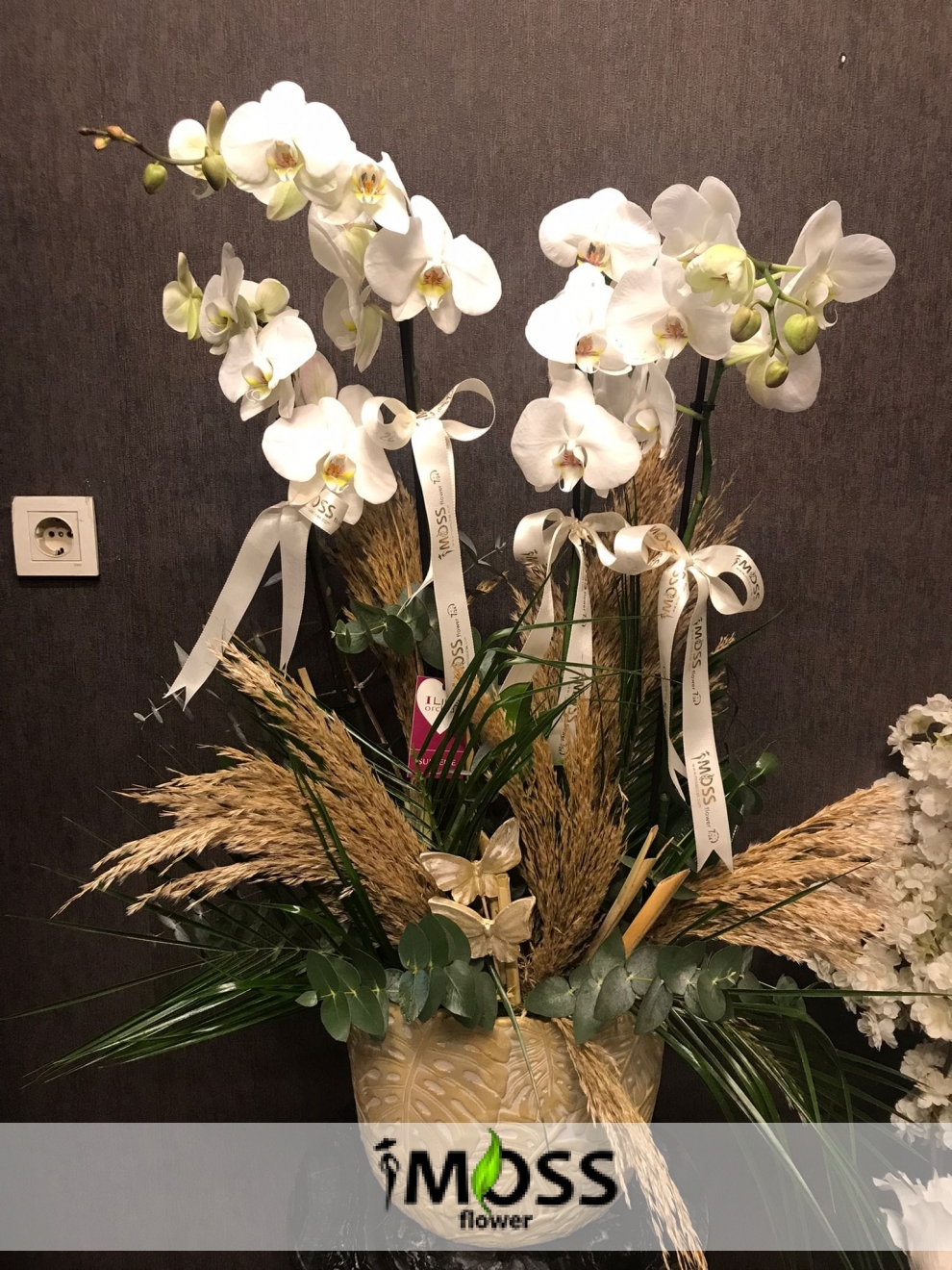 Vip Beyaz Orkide 