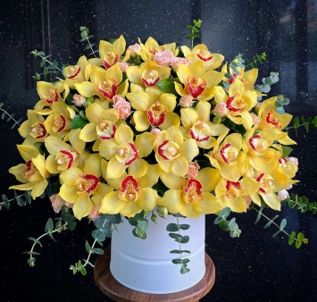 Kutuda Kesme Sarı Orkideler