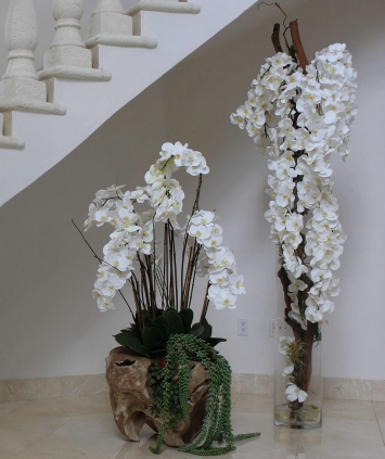 Vip Beyaz Orkide Aranjman