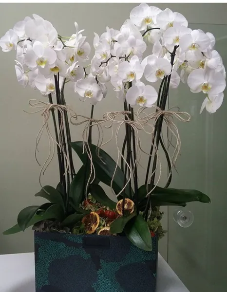 Özel Seramikte 4 Dal Orkide