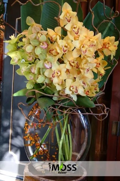Özel Camda Simbidyum Orkideler
