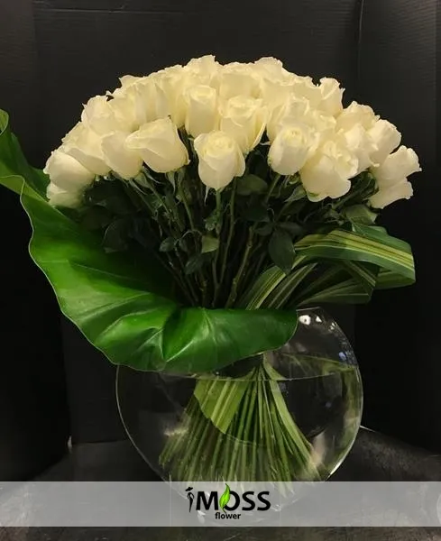 Fanusta Beyaz Güller