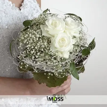 Beyaz Gül ve Cipsolar