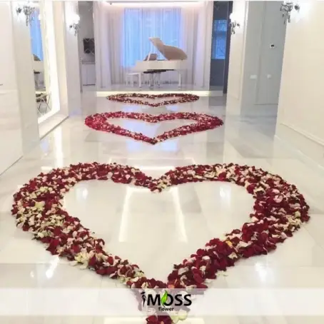 En Güzel Sürprizler