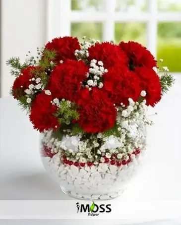 Kırmızı Karanfiller