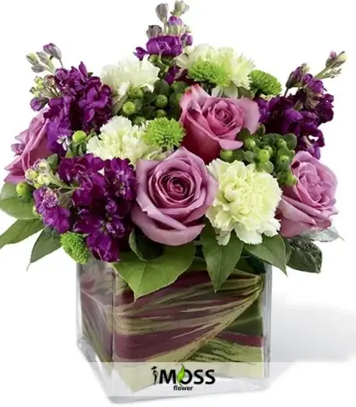 Mor ve Beyazın Şıklığı