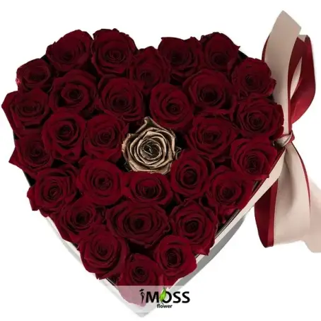 Kalp Kutuda Ekvator Güller