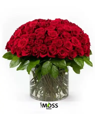 Vazoda 51 Adet Kırmızı Güller