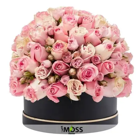 Kutuda Vip Pembe Güller