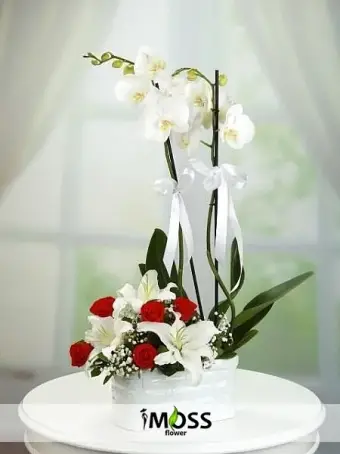 Orkide Lilyum ve Güller