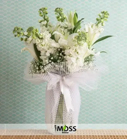 Beyazın Saflığı ve Şebboylar