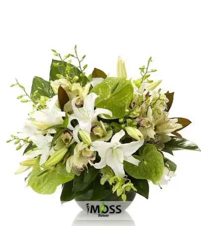 Lilyum ve Anthoriumlar