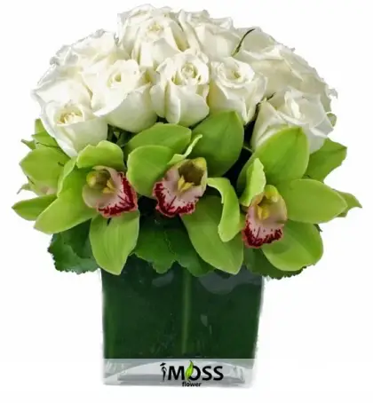 Syimbidium Orkideler Ve Beyazın Masumiyeti