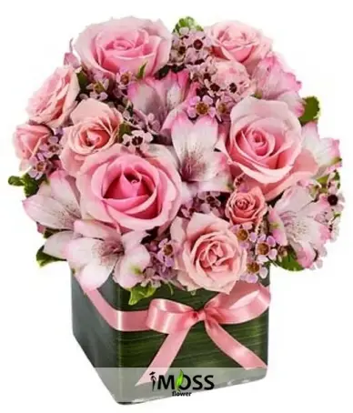 Pembenin Doğallıgı