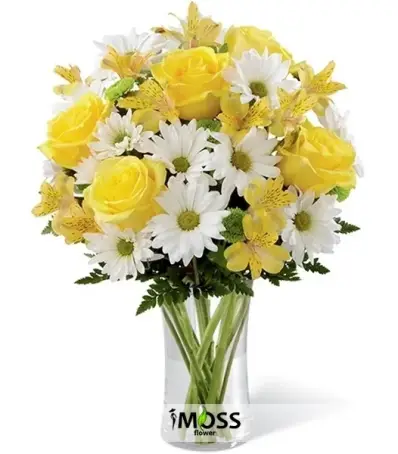 Sarı Güller ve Papatyalar