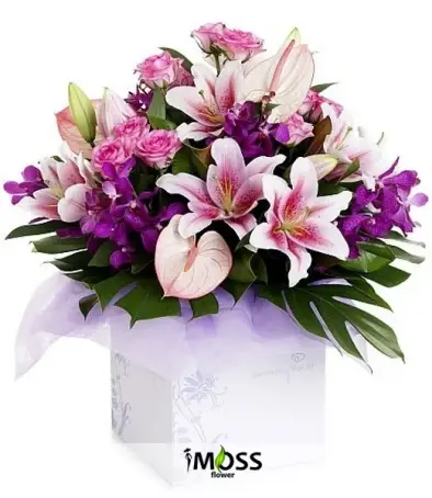 Pembenin Güzelliği