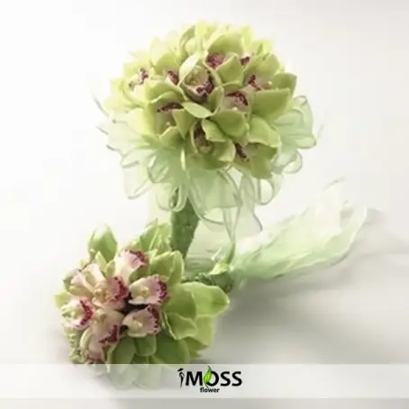 Yeşil Simbidyum Orkide