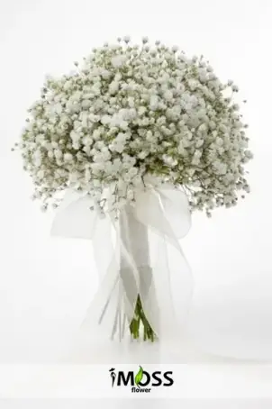 Cipsolardan Gelin Buketi