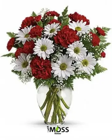 Papatya ve Karanfil Vazosu