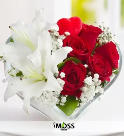 Kalbimin Diğer Yarısı