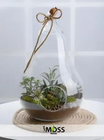 ARMUT CAMDA TERARYUM