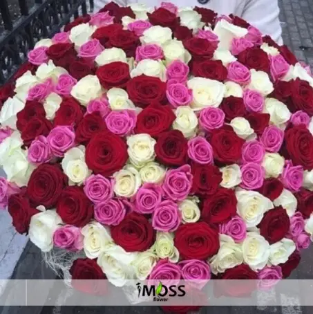 201 ADET GÜLDEN RENK CÜMBÜŞÜ