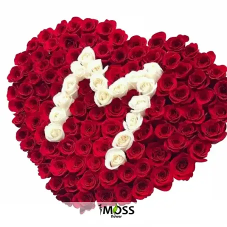 101 Kırmızı Harf Kutu 