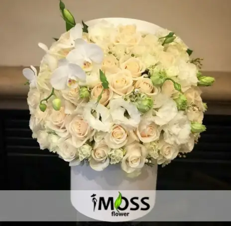 Orkide ve Gullerden Vıp Aranjman