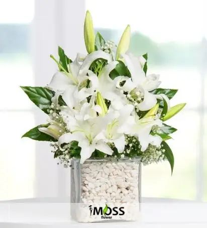 Kare Camda Lilyumlar