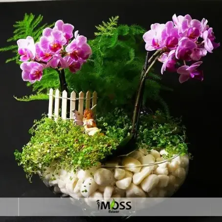 Özel Mini Orkide Bahçesi