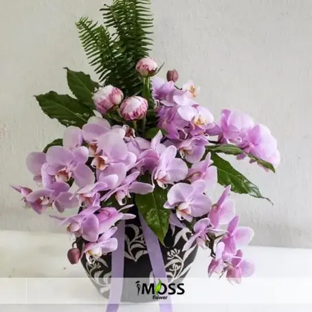 Özel Vazoda Orkide Aranjmanı