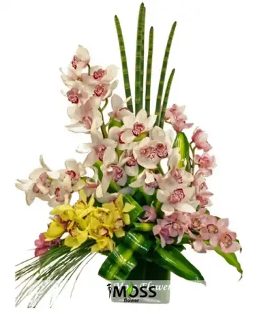 Simbidyum Orkide Tasarımı