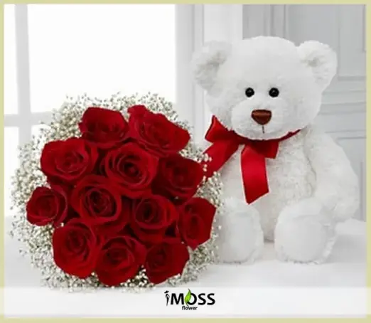 12 ADET EKVATOR GULU VE ŞİRİN AYICIK