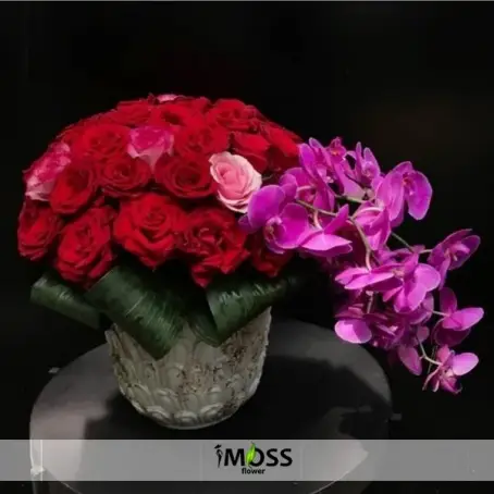 Orkide Ve Gül Tasarım