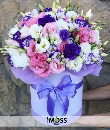 Kutuda Mevsim Çiçekler