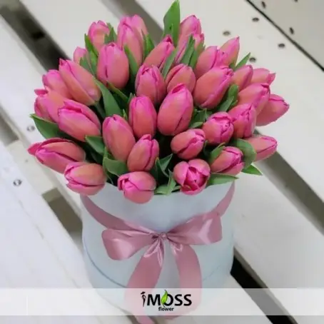 Kutuda Pembe Laleler