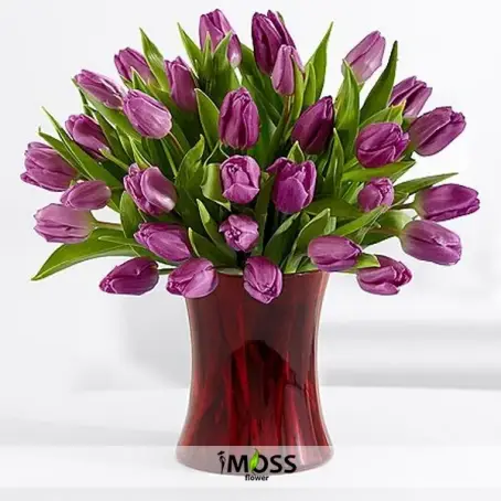 Cam Vazoda Mor Laleler