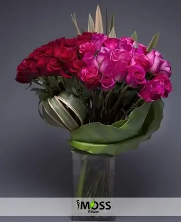 Kırmızı Ve Pembenin Uyumu