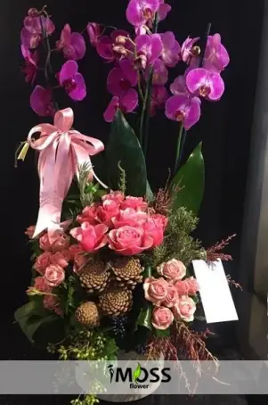 Fuşya Orkideler Ve Güller