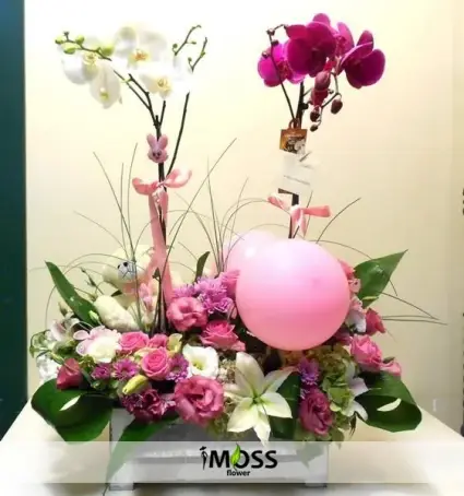 Sandıkta Orkideler Ve Mevsim Çiçekleri