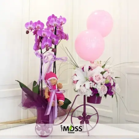 Bisiklette Orkide Ve Mevsim Çiçekleri