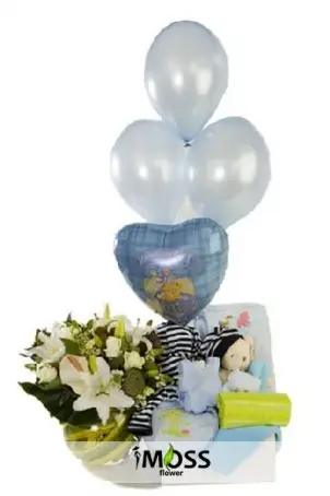 Erkek Bebek Aranjmanı