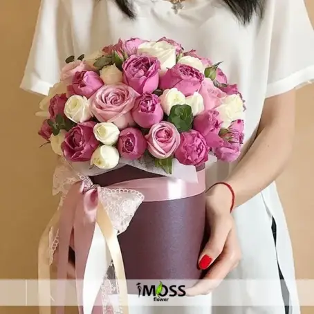 pembe beyaz ekvator güller