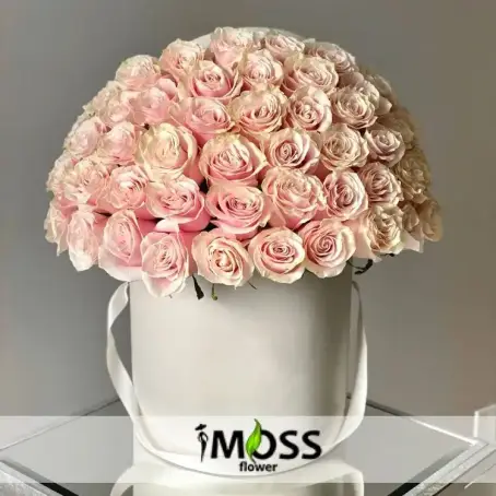 Vip Pembe Gül Kutu Tasarım