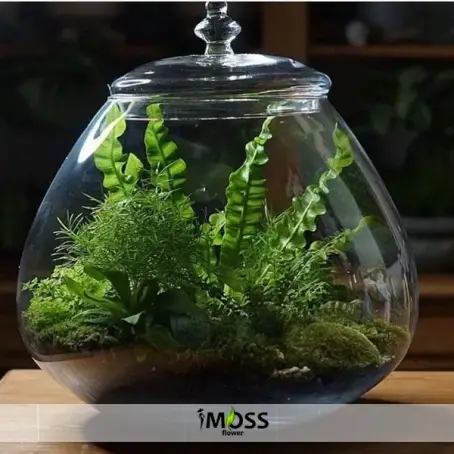 ÖZEL CAMDA TERARYUM