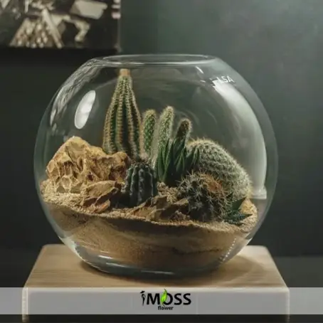 FANUSTA NATUREL TERARYUM