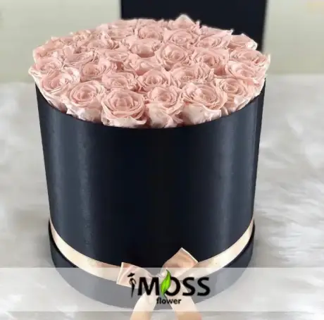 Kutuda 25 Pembe Gül 