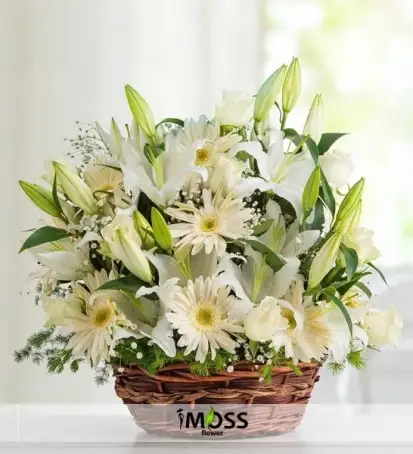 ÇİÇEK SEPETİ - Beyazın Güzelliği